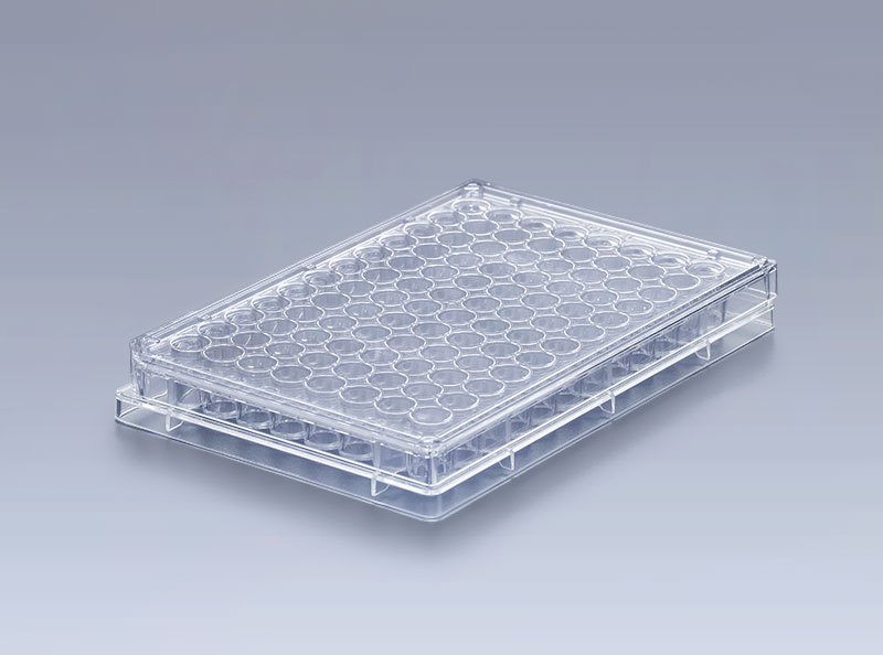 多孔細胞培養板